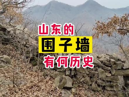 山东的“围子墙”有何历史? #古迹 #历史古迹 #围子墙 #捻军