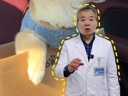 带狗狗开车回家,这三个小众细节一定要盯紧! #宠物 #带狗自驾游 #春节 #春节返程 #萌宠出道计划