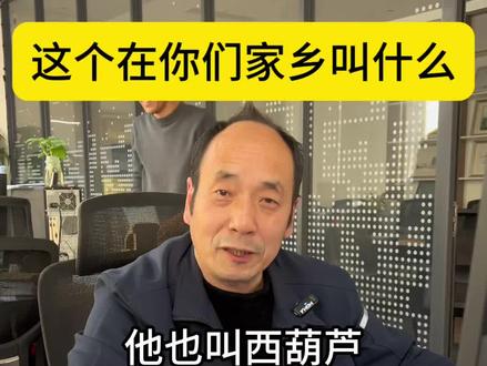 这个在你们家乡叫什么?我以为全国都叫西葫芦#南北差异 #家乡话 #西葫芦