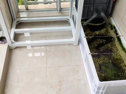 怎么防止底砂和小鱼被吸到过滤里?用挡砂板,效果还是不错的