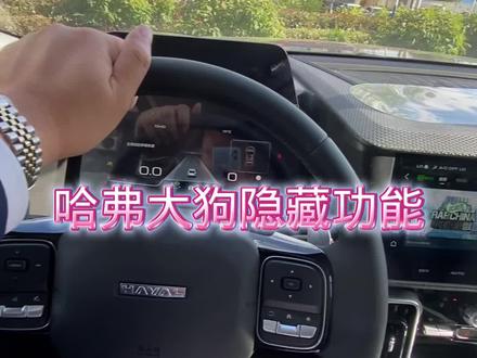 #哈弗大狗 哈弗大狗隐藏功能