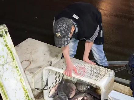 近日,车主张万锋和他的风骏5在南宁水产圈引发关注,9年行驶里程接近100万公里,车况依然良好且无大修!#100万公里的皮卡很致富#南宁运鱼小哥9年百万公里创富路#开不坏的风骏皮卡 #长城皮卡经典品质30年