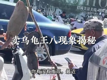 大马路边卖乌龟甲鱼现象揭秘:是神秘仪式还是骗局? 大马路边卖乌龟甲鱼现象揭秘:是神秘仪式还是骗局?#奇闻异事 #骗局曝光 #骗子套路大全 #卖乌龟 #骗局揭秘