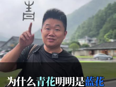 “青花”还是“蓝花”?一条视频告诉你青色到底是什么颜色!#青花瓷 #青色 #传统色