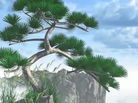 心之官则思,思则得之,不思则不得也。