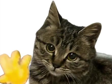 Hallo挥手小猫抠像教程 #Hallo #Hallo小猫 #挥手小猫 #新年就用hello打招呼 #新年就用hello打招呼教程