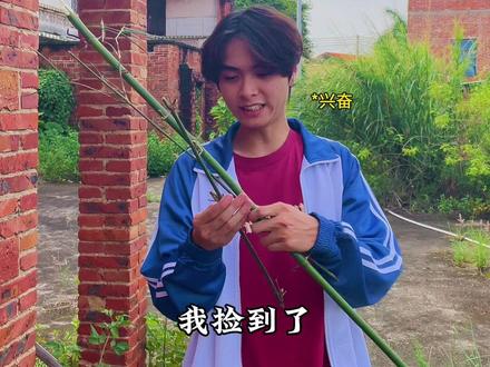 童年做过的 真·竹筒炮
#童年#小时候#深度还原#竹筒炮