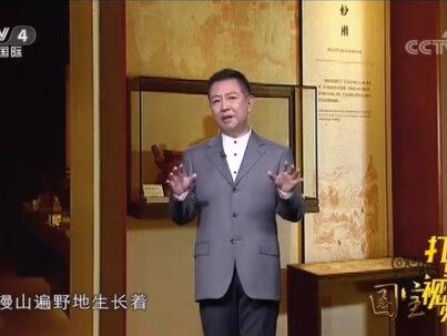 海南黄花梨全方面介绍#传统文化 #红木家具 #海南黄花梨