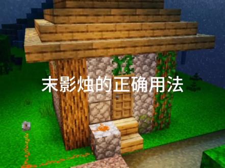 末影烛的正确用法!#我的世界 #村民