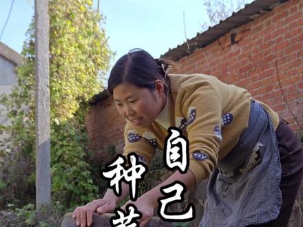 在家也能动手种蒜黄,种法简单,又能体会到种下与收获的乐趣,好吃又新鲜,吃完一茬又一茬。#新农人计划2023 #我的乡村生活 #农村美食