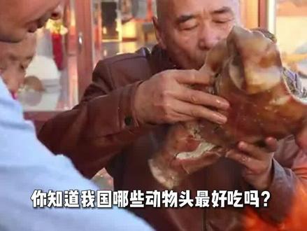 盘点好吃的动物头,生滚猴脑榜上有名,第一名每年要消耗掉五亿只 #盘点 #美食 #羊头