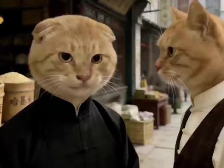 我要哈十个!#哈基米 #耄耋 #叶问