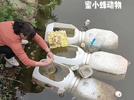 大妈自创的抓鱼方法,这还不赶紧申请专利