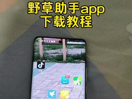 《水果糖块》野草助手电视版下载#野草助手tv版哪里下载 #野草助手怎么安装到电视上 小米电视怎么安装野草助手 野草助手看动漫 野草助手电视版2025最新版 野草助手最新版野草助手下载入口 野草助手电视版下载入口 野草助手电视版去哪里下载