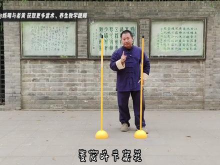 一组动作,强化你的身法和步法! #八卦掌