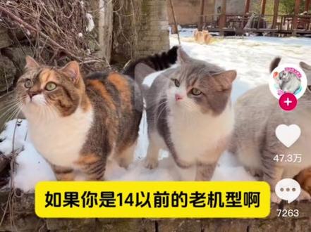 IOS18.7.7更新建议,一句话说清,14以前的老机型,本身是18的系统,闭眼更,18以下的看个人喜好。#苹果系统更新 #IOS #IOS18 #手机系统