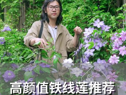 高颜值铁线莲推荐 @抖音小助手 #铁线莲 #花卉绿植
