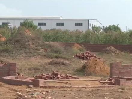 诡异!湛江有村民发现,林地上一夜之间惊现几十座“新坟”