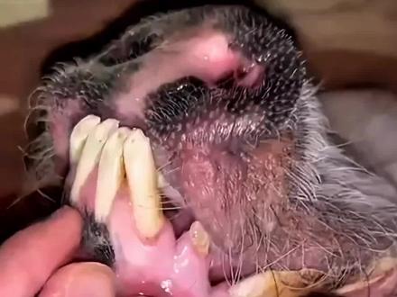 #青年创作者扶持计划 四种常见病,中翳教你调!#变美小技巧 #中医 #抖出健康知识宝藏