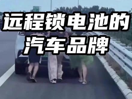 远程锁电池的汽车品牌 #汽车 #远程锁电 #新能源汽车