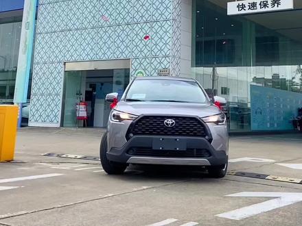 “小选白,大选黑,不大不小选银灰”#抖音汽车 #卡罗拉锐放 #提车大吉