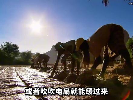 印度51度高温才开始,喜马拉雅是幕后黑手? #印度 #喜马拉雅 #经济 #抖音精选 #青年创作者成长计划
