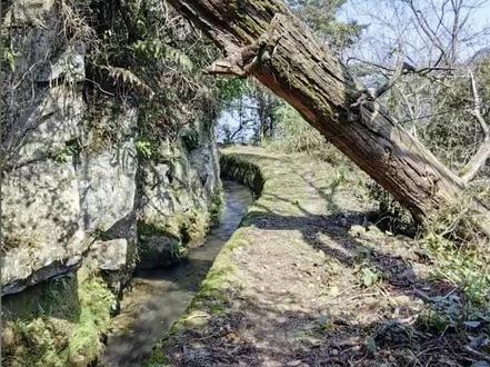 茫荡山半山村#乡村振兴dou行动