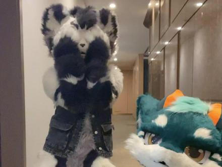 被求婚了耶!!#表白害羞舞 #兽装舞蹈 #furry #兽装 #银碳