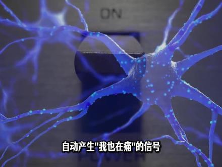 一只流浪狗,见证一座城市的温暖 安徽宣城一只流浪狗被撞断三条腿,47位出租车司机自发凑钱救它。一张写满车牌号的皱巴巴白纸,让无数人破防。这不只是一只狗的故事。#黄站长 @柯基兵兵和花花 #狗 #狗是人类最忠诚的朋友 #安徽宣城