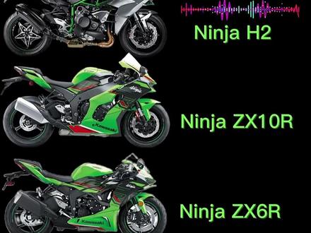 川崎哪款车是你心目中的最强声浪#川崎 #H2 #摩托车