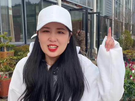 鹰嘴桃,一款吃了就停不下来的桃子品种 #果树