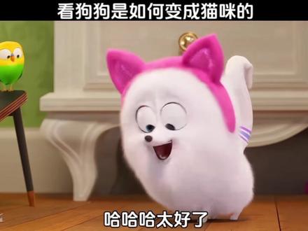 #爱宠大机密 #动画推荐 这是傻狗,还是舔狗