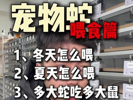 宠物蛇如何喂食? 冬天怎么喂
夏天怎么喂
多大蛇吃多大鼠
#爬宠 #宠物蛇 #黑王蛇 #玉米蛇 #守宫