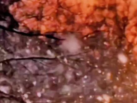 《你是伤我最狠的人》情感音乐#伤感歌曲