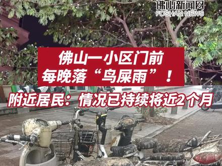 佛山一小区门前每晚落“鸟屎雨”!附近居民:情况已持续将近2个月 (记者:陈聪)#顺德乐从 #鸟屎雨
