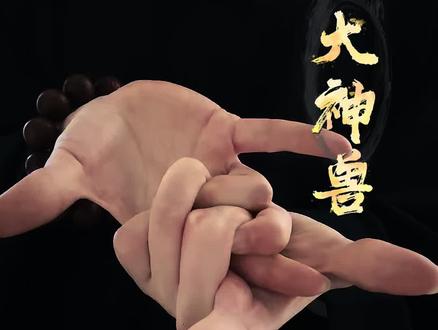 太极生两仪,两仪生四象,四时各有其象,青龙、白虎、朱雀、玄武,天之四灵,谓之四象,守天地镇四方,祥瑞也 #道家文化传承 #创作者中心 #创作灵感