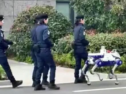 机器狗开始巡逻了#机器狗