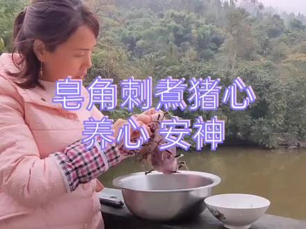 皂角树全身都是宝,兰姐用皂角刺煮猪心,安神养心,你们知道吗