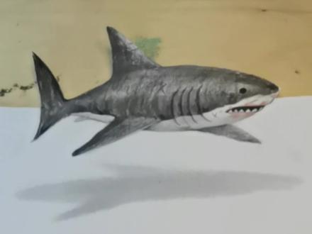 你以前这样画鲨鱼,今天你遇到了大飞老师学会了一种新的方法!#画画 #素描动物 #3d立体画 @DOU+小助手