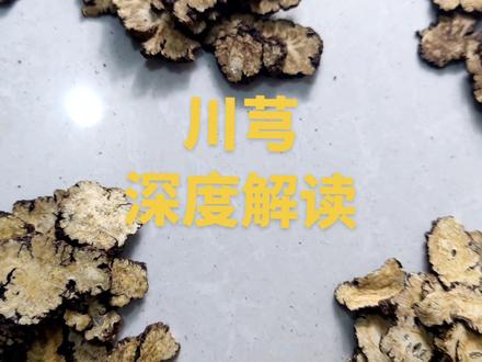 川芎 深度解读 教你一些你能用到的知识#川芎#中药 #中医#药材