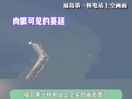 可恶的小日本😡#娱乐评论大赏 #日本 #核废水 #万万没想到 #污染