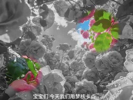 第46天|剪辑点亮生命的色彩|梦核卡点效果#剪辑教程 #剪映 #春考数媒技能