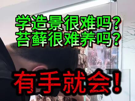 新手学造景总觉得遥不可及,还担心苔藓养不好。其实真不是这样,没有什么专业技巧,就是些简单的底层逻辑,看完你就会。#水陆缸造景#新手造景教程 #鱼缸造景#苔藓微景观