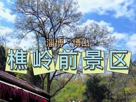 假期一家人来博山樵岭前也太好玩了 #山水画卷樵岭前#樵岭前风景区#樵岭前花海瀑布#花海瀑布 #附近景区