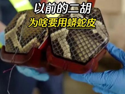 二胡的蟒皮 #涨知识 #二胡 #二胡蟒皮