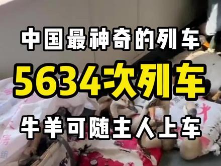 中国超神奇的列车
#国内旅游 #旅行大玩家#厉害了我的国 #绿皮火车 #旅游攻略