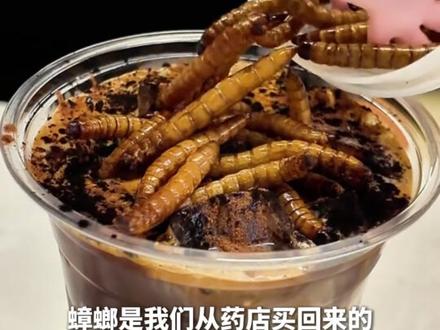 快艾特你最好的朋友来喝!北京一博物馆推出#蟑螂咖啡 : 一杯40多块,每天卖出十几杯。#昆虫美食 #美味 #咖啡 #吃货