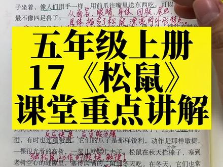 五年级上册第17课《松鼠》课堂重点讲解#五年级#学霸秘籍#学习方法