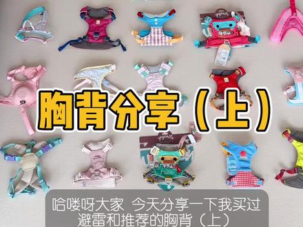 胸背分享(上)#宠物胸背 #养狗好物