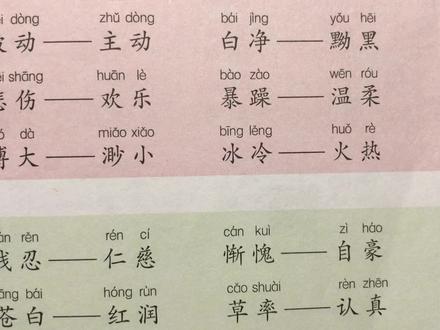 反义词:被动-主动,悲伤-欢乐,白净-黝黑,暴躁-温柔……